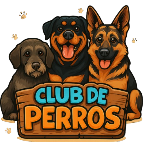 Banner Club de Perros