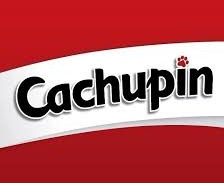 Cachupin
